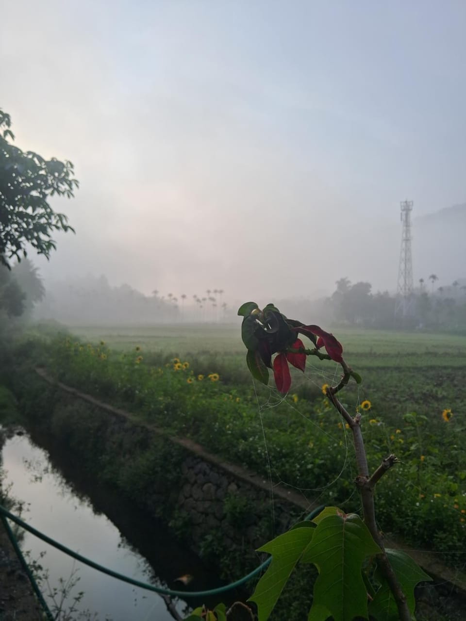 Paddygram stay Vacation rental in Kerala