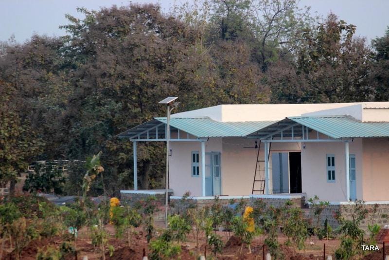 Jungle Vibes Resort in Telangana