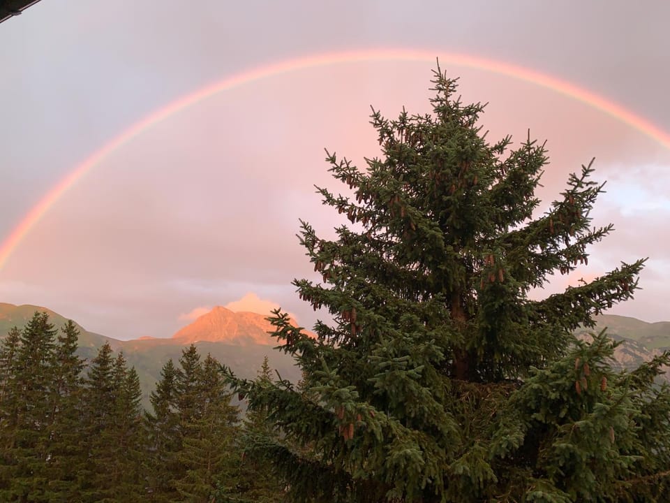 Mountain view