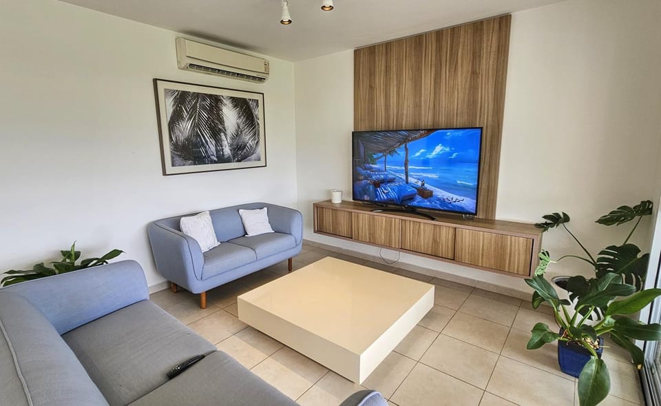 TV and multimedia, Living room, air conditioner