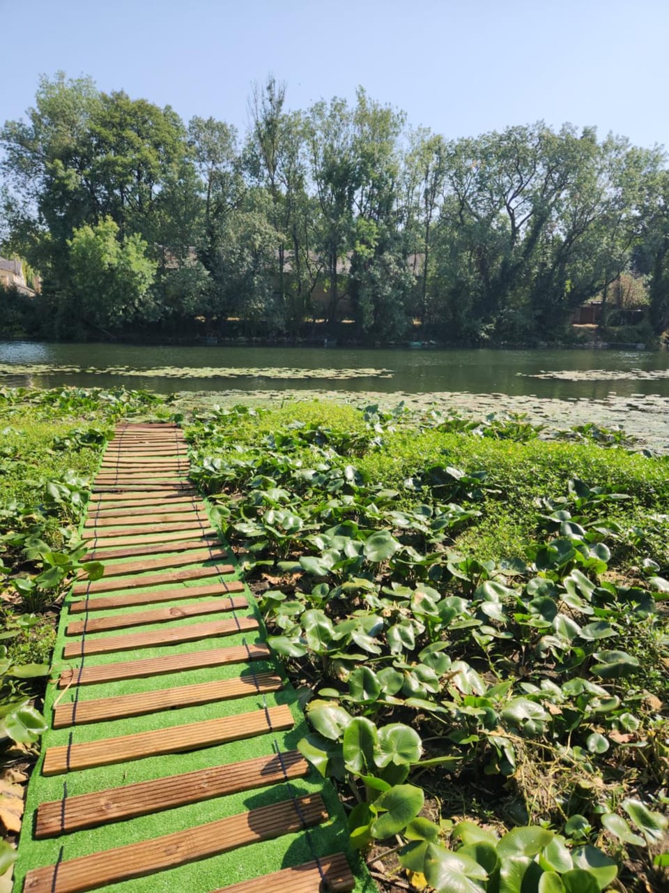 Natural landscape, River view