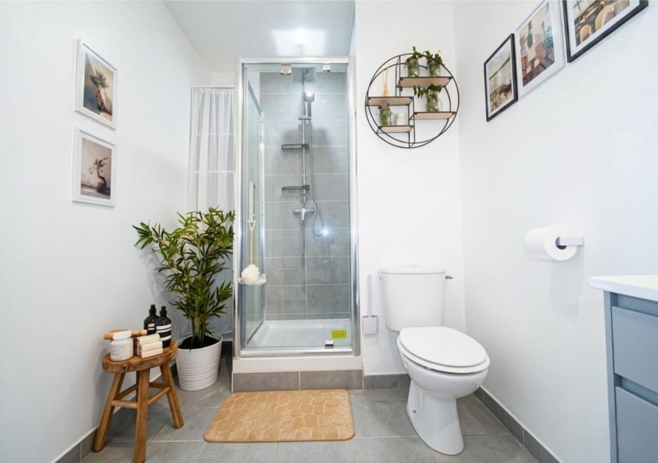 Toilet, Bathroom, Decorative detail