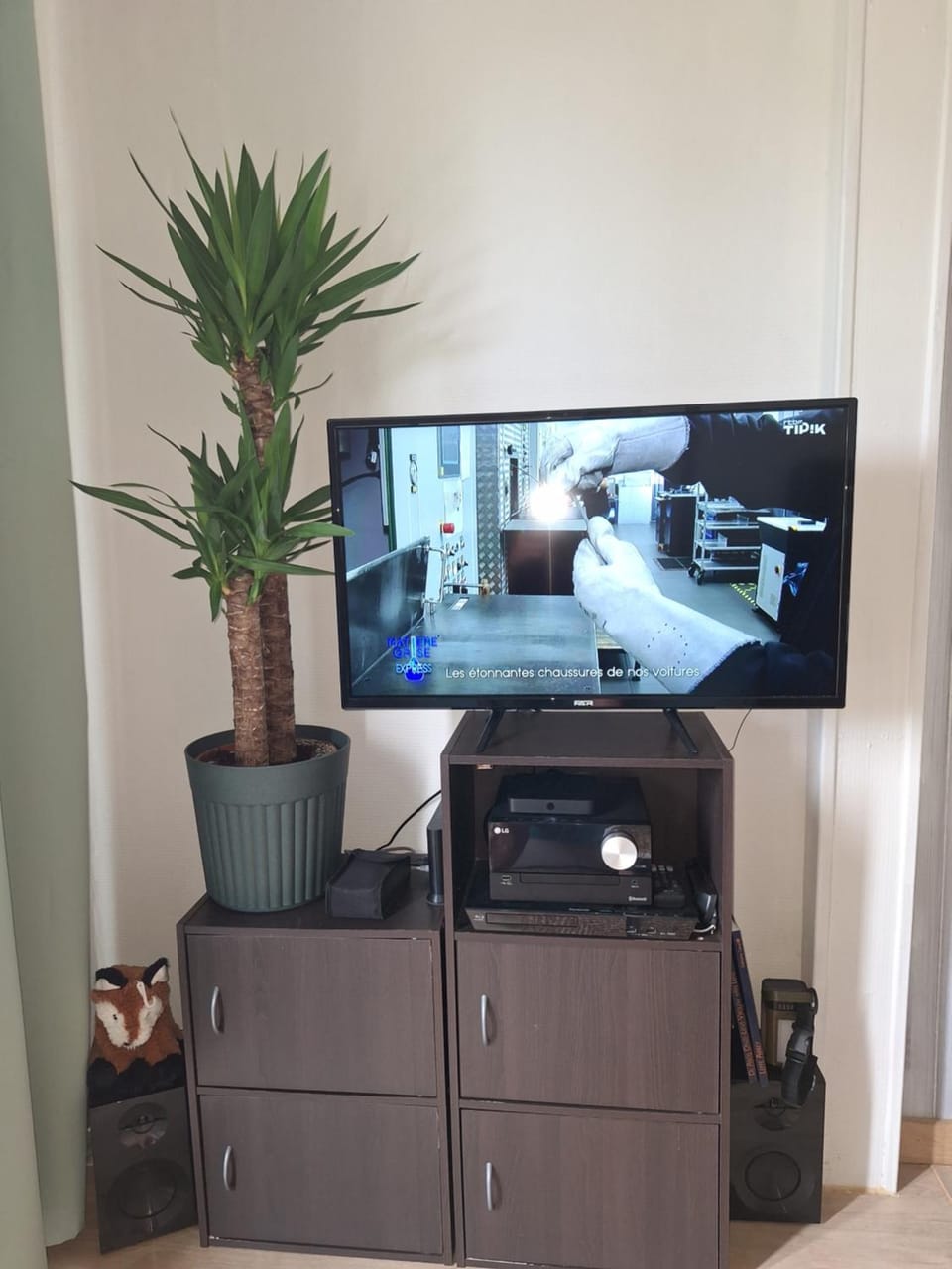 TV and multimedia