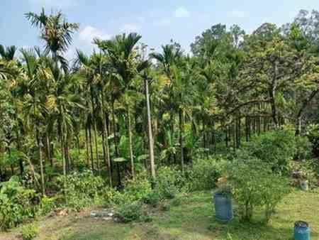 Gandagatta Home Stay Vacation rental in Karnataka