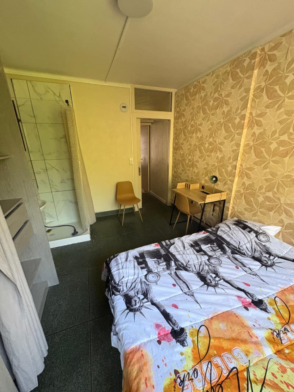 Bed, Photo of the whole room, Bedroom, wardrobe