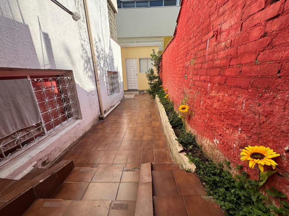 Garden view, Inner courtyard view