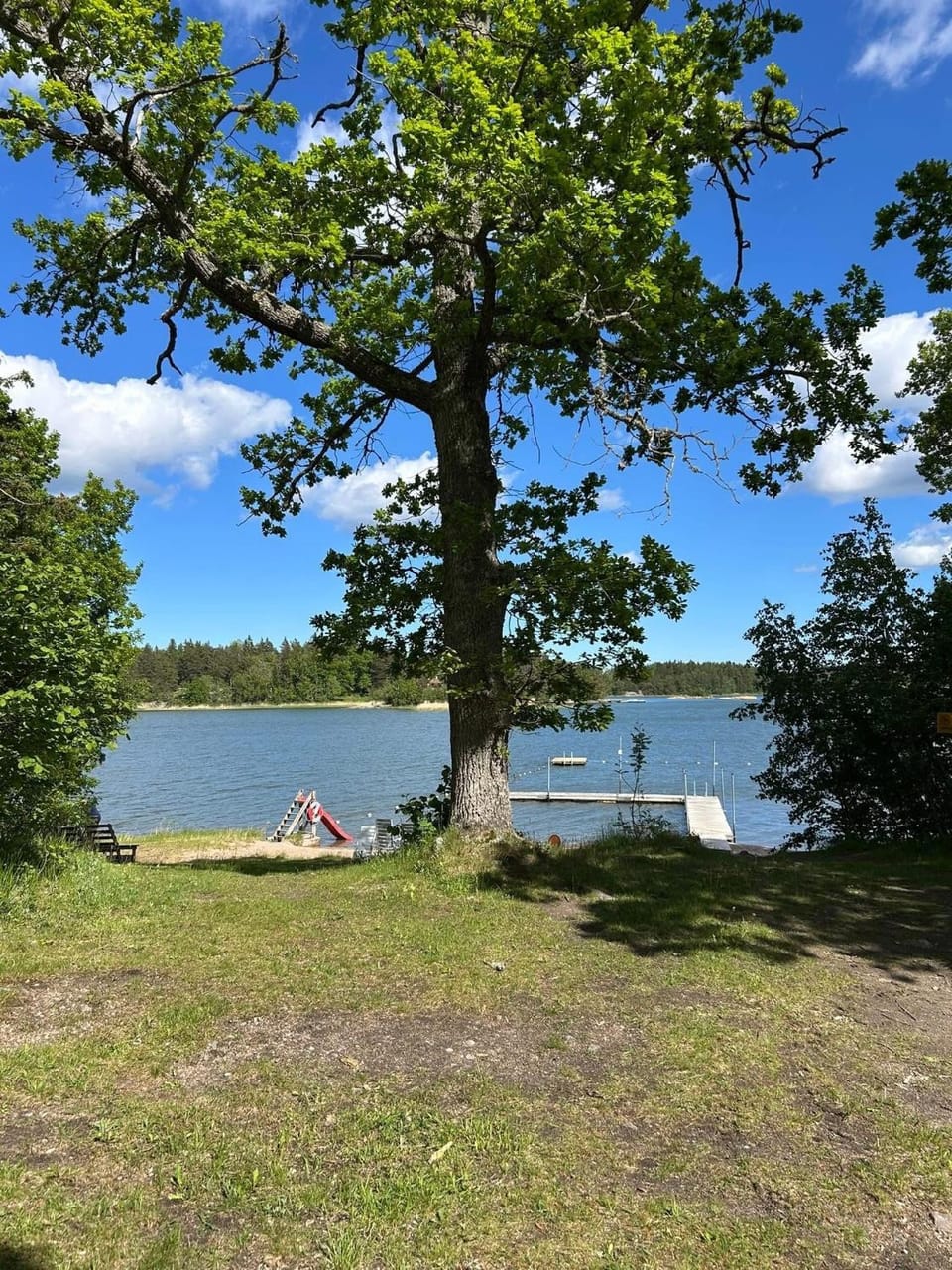 Lake view