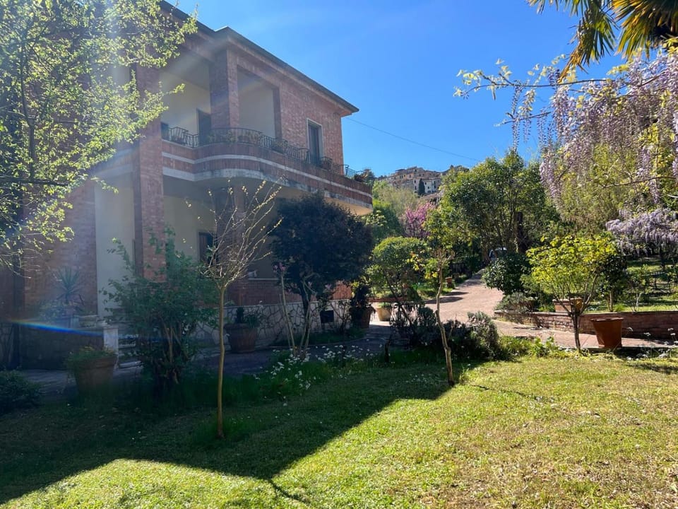 Property building, Garden view