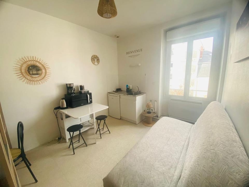 Nantes Gare Studio Apartment in Nantes