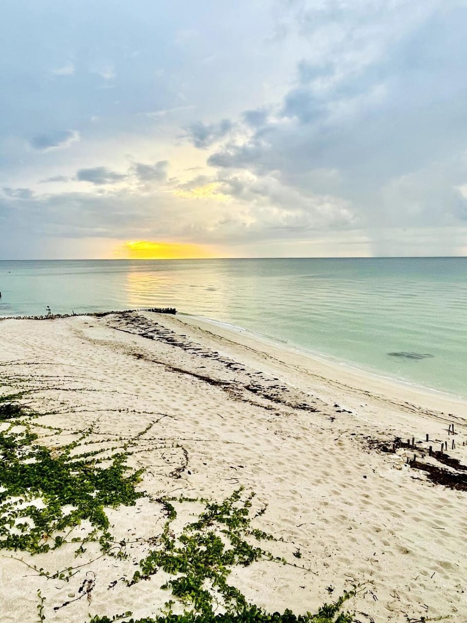 Beachfront house with pool, 15 min from Progreso House in State of Yucatan