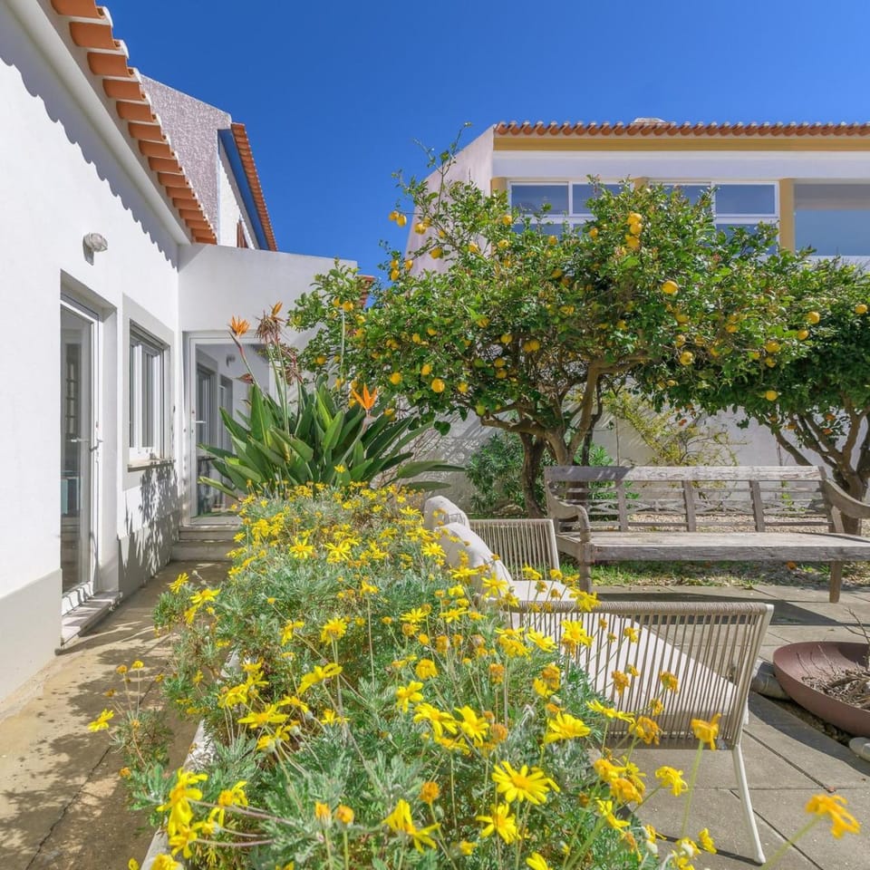 Garden, Garden view
