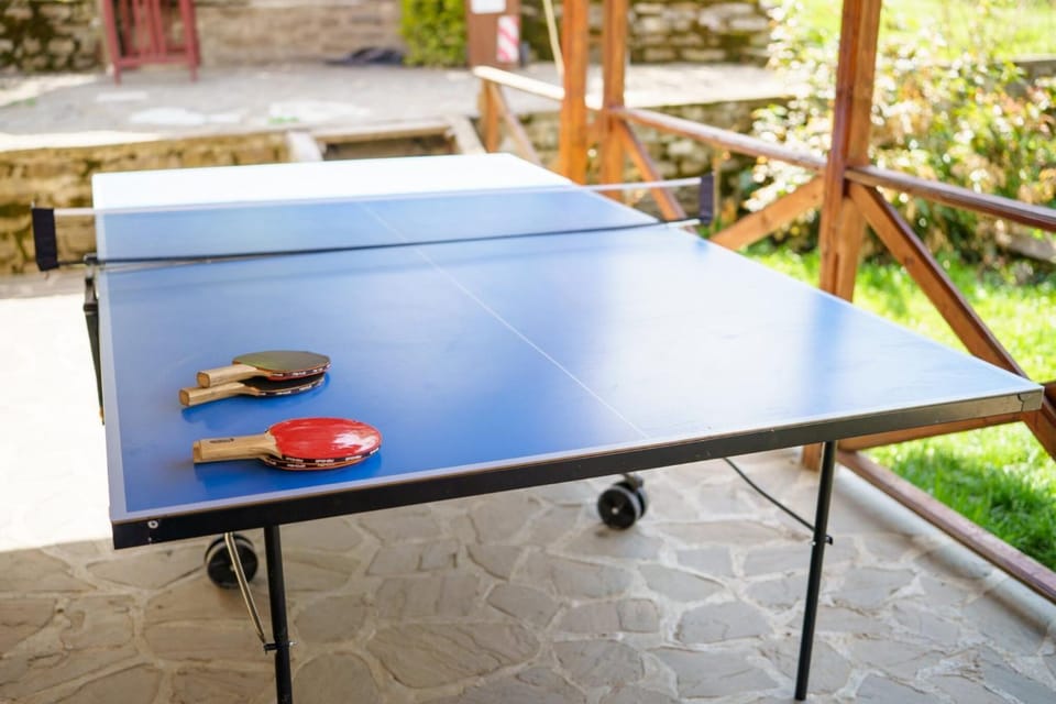 Table tennis, Area and facilities