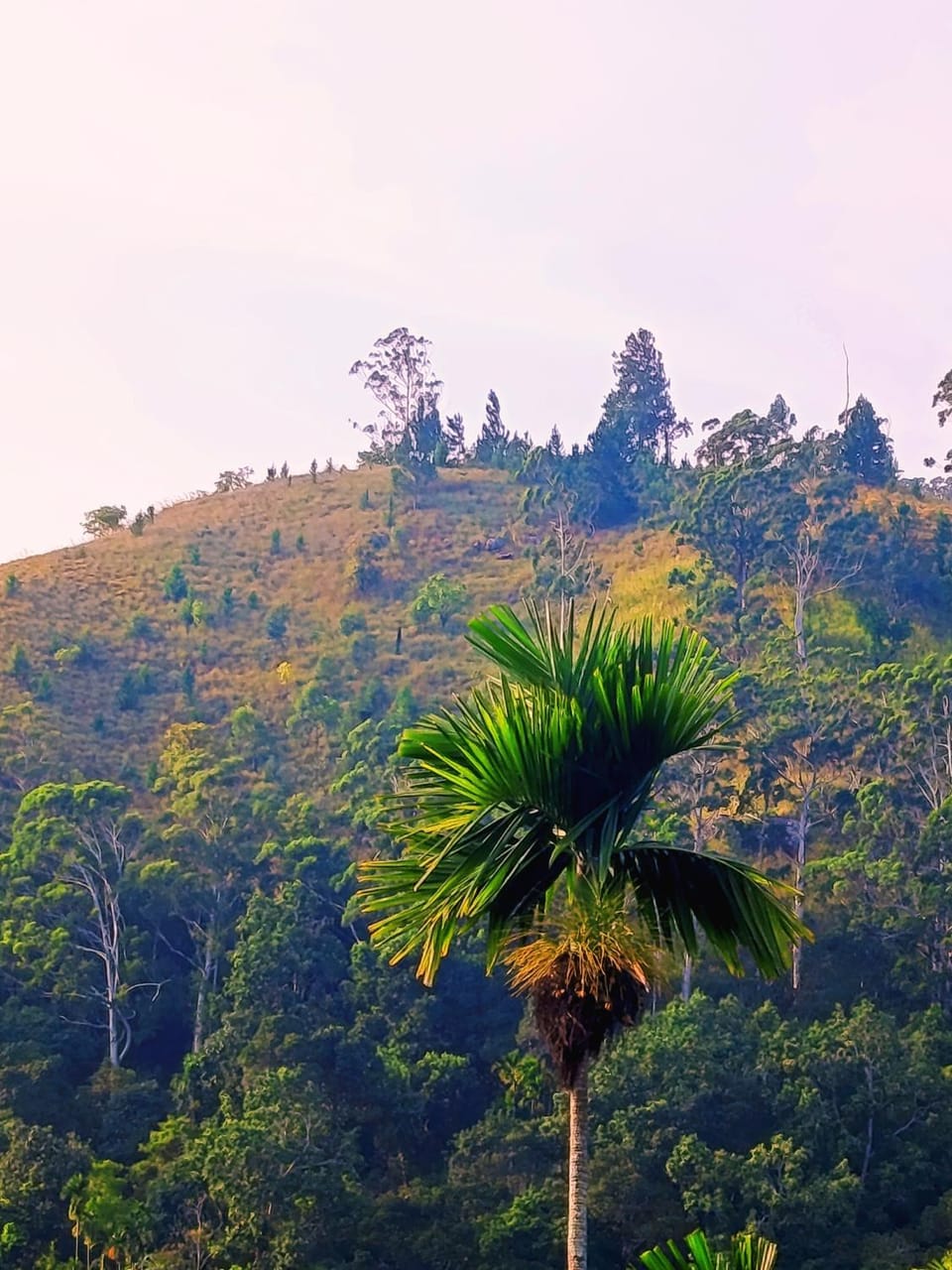 Beloved Paradise Vacation rental in Ella