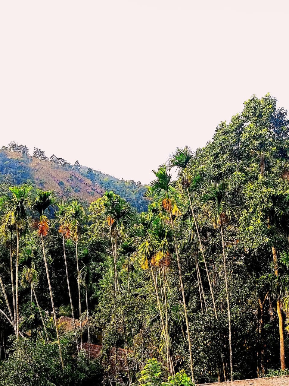 Beloved Paradise Vacation rental in Ella