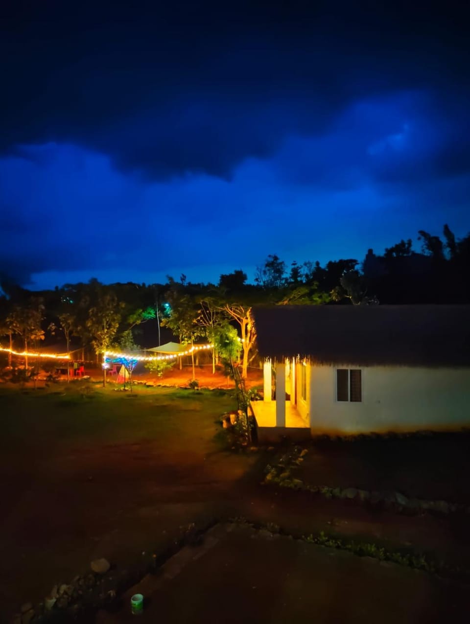 Property building, Night, Garden