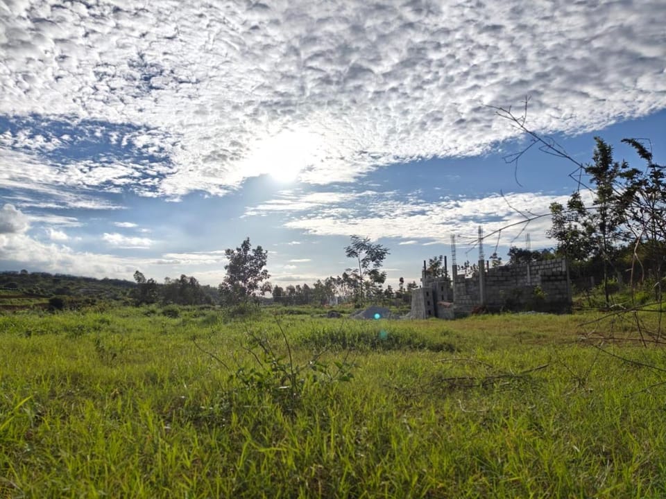 Natural landscape
