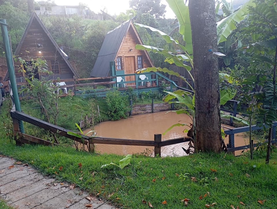 Lake view