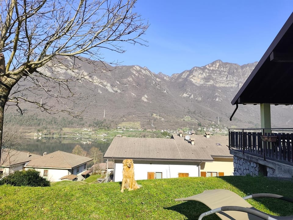 Day, Garden, Garden, Garden view, Garden view, Lake view, Lake view