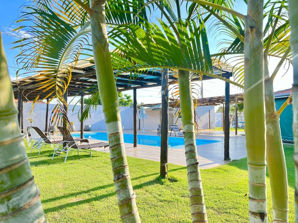 Garden, Pool view, Swimming pool, sunbed