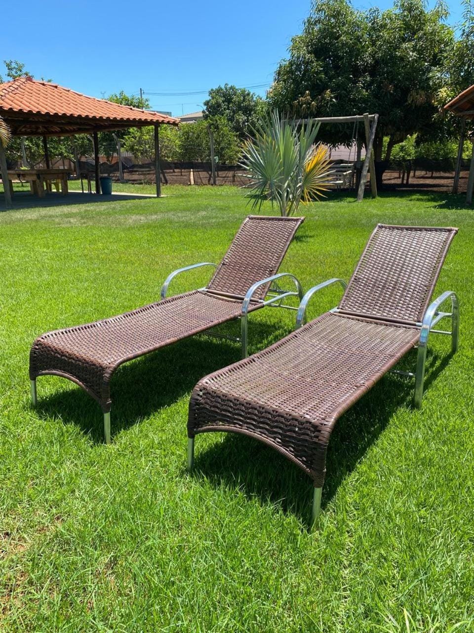 Spring, Garden, sunbed