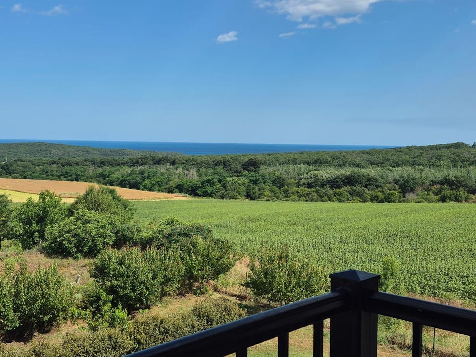 Sea view