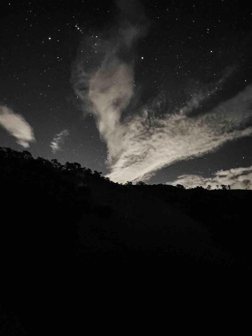 Night, Garden