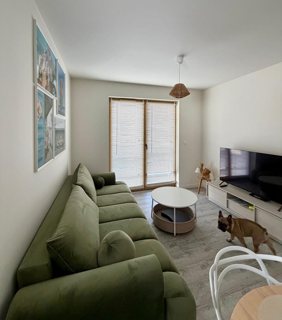 Wydmowa Ostoja Apartment in Pomeranian Voivodeship