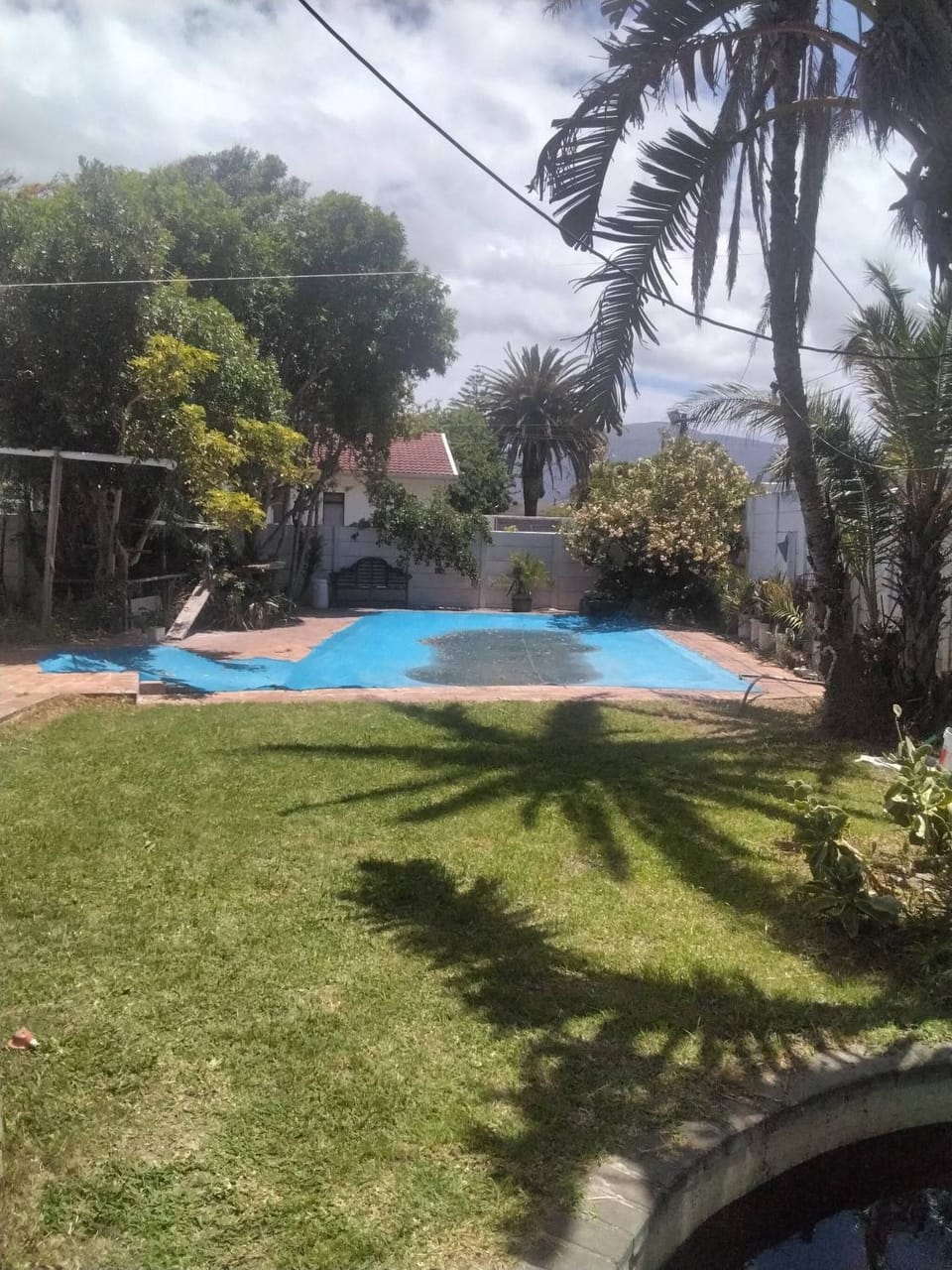 Summer, Garden, Swimming pool
