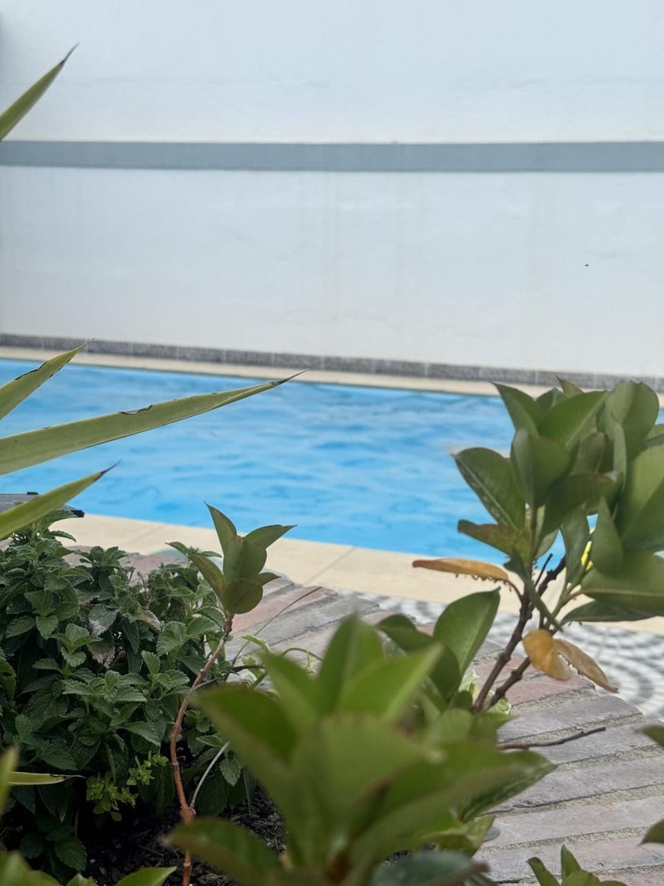 Day, Natural landscape, Pool view, Swimming pool