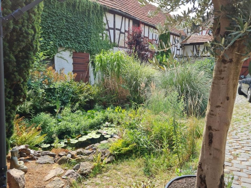 Patio, Inner courtyard view