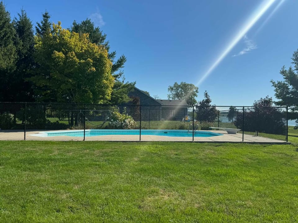 Spring, Day, Natural landscape, Garden view, Swimming pool, Swimming pool