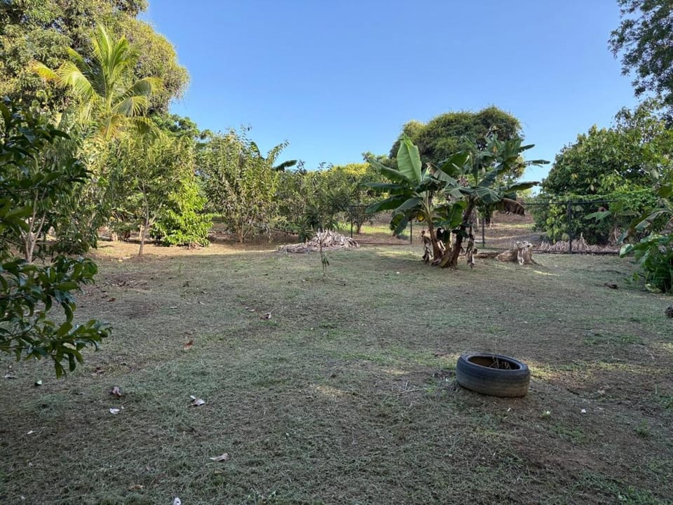 Nature Escape, Manzanilla with Experiences included Apartment in Trinidad and Tobago