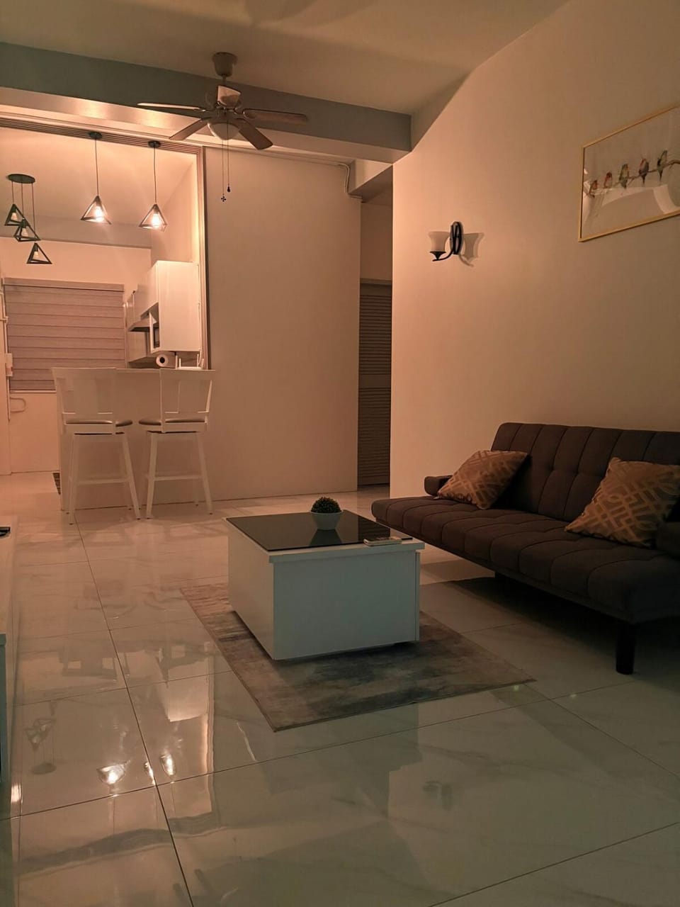 Modern Apartment near Queens Park Savannah Apartment in Port of Spain Corporation