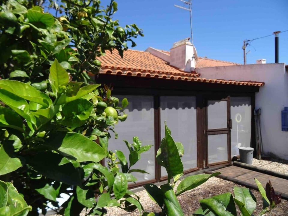Casa Azul Comporta, unforgettable holidays House in Comporta