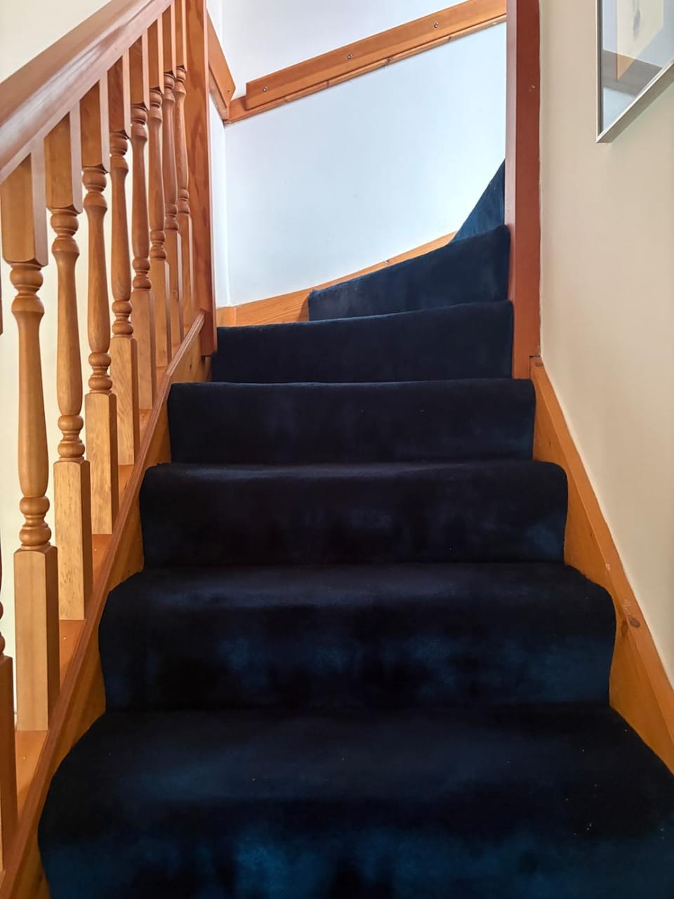 SaltAir -Quiet retreat by the sea Apartment in Saint Andrews