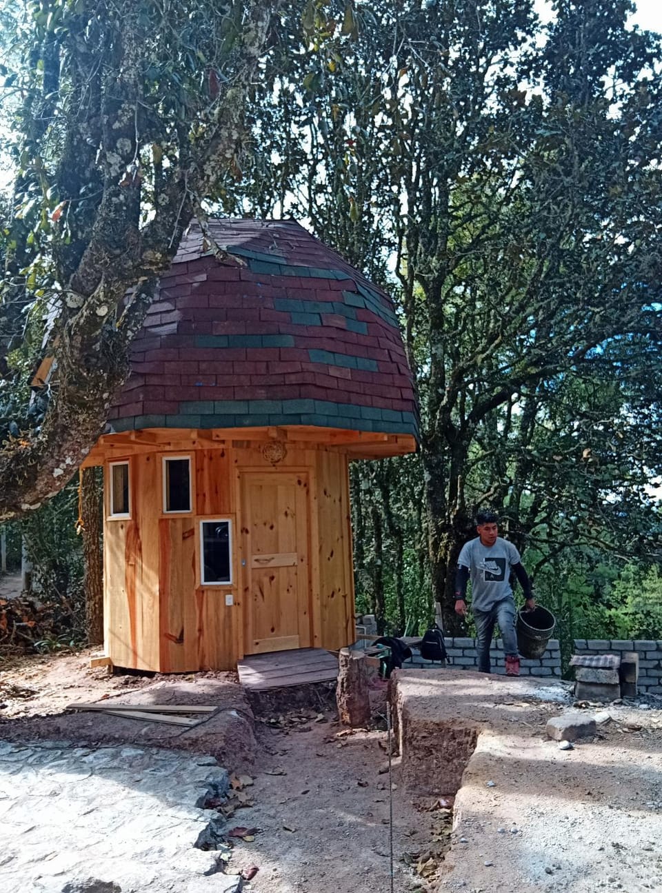 Los hongos Hotel in State of Oaxaca