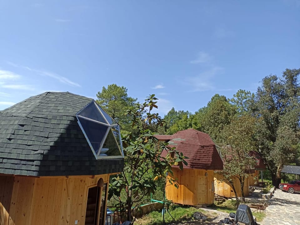 Los hongos Hotel in State of Oaxaca