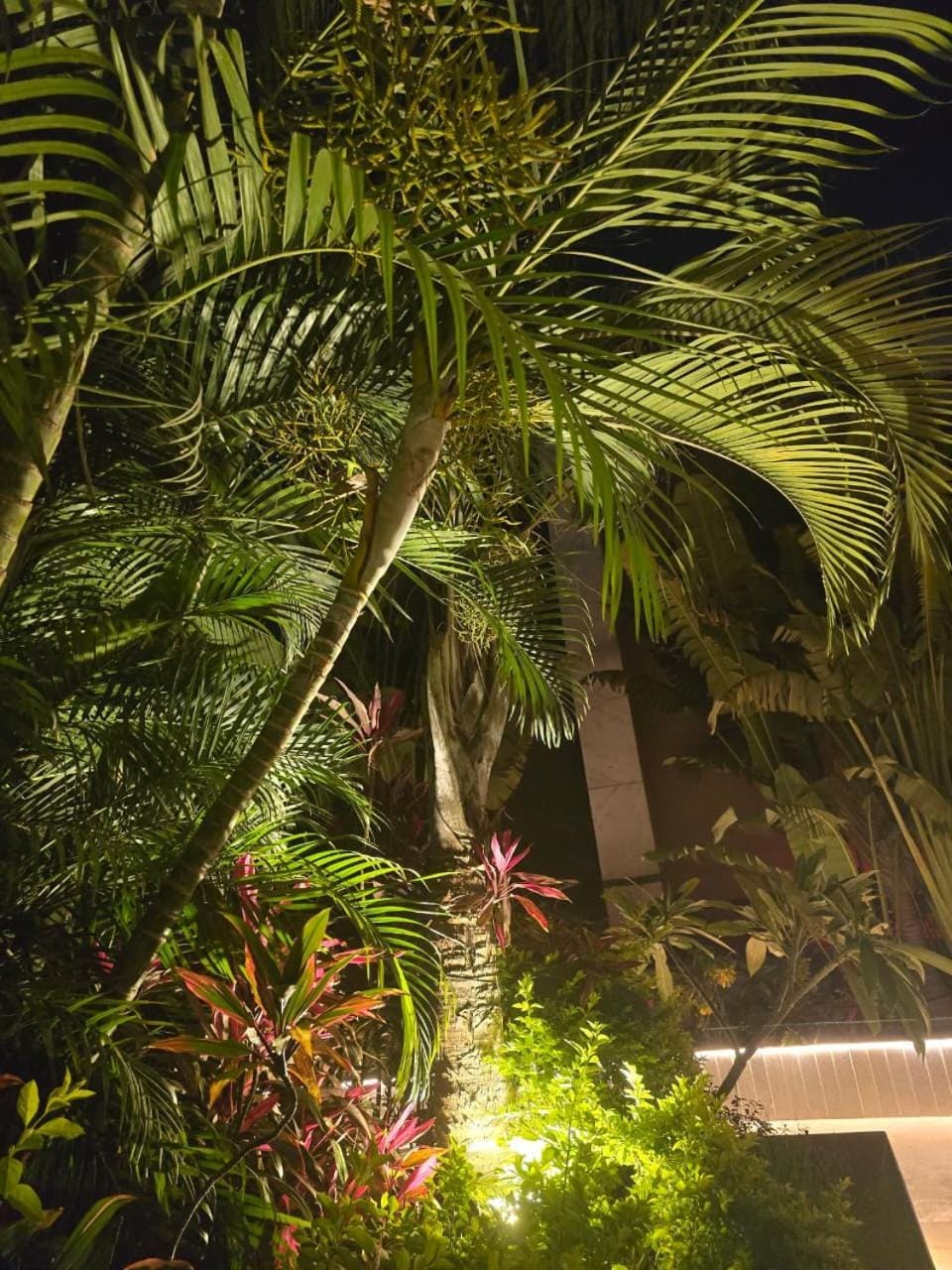 Night, Natural landscape