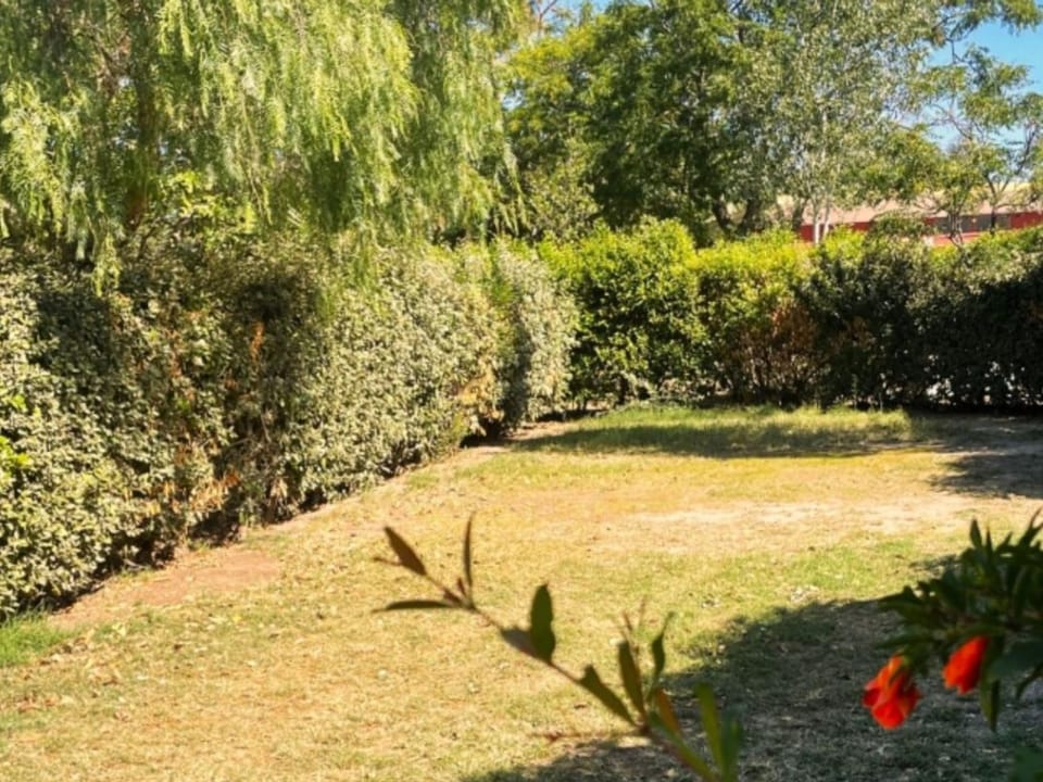 Mobil-home clim, animaux OK - 6 pers. - API-1-52-2476 Campground/ 
RV Resort in Occitanie