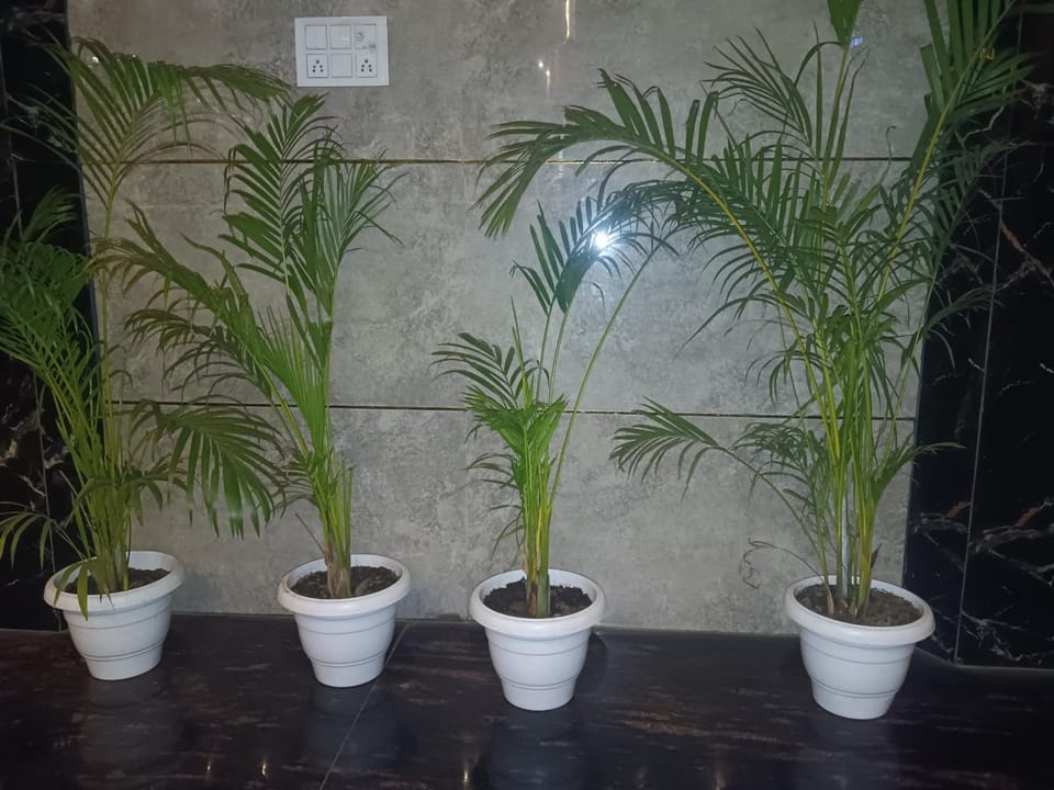 Hotel Atithi Palace Hotel in India