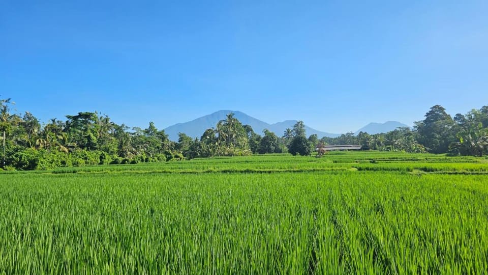 Nearby landmark, Natural landscape