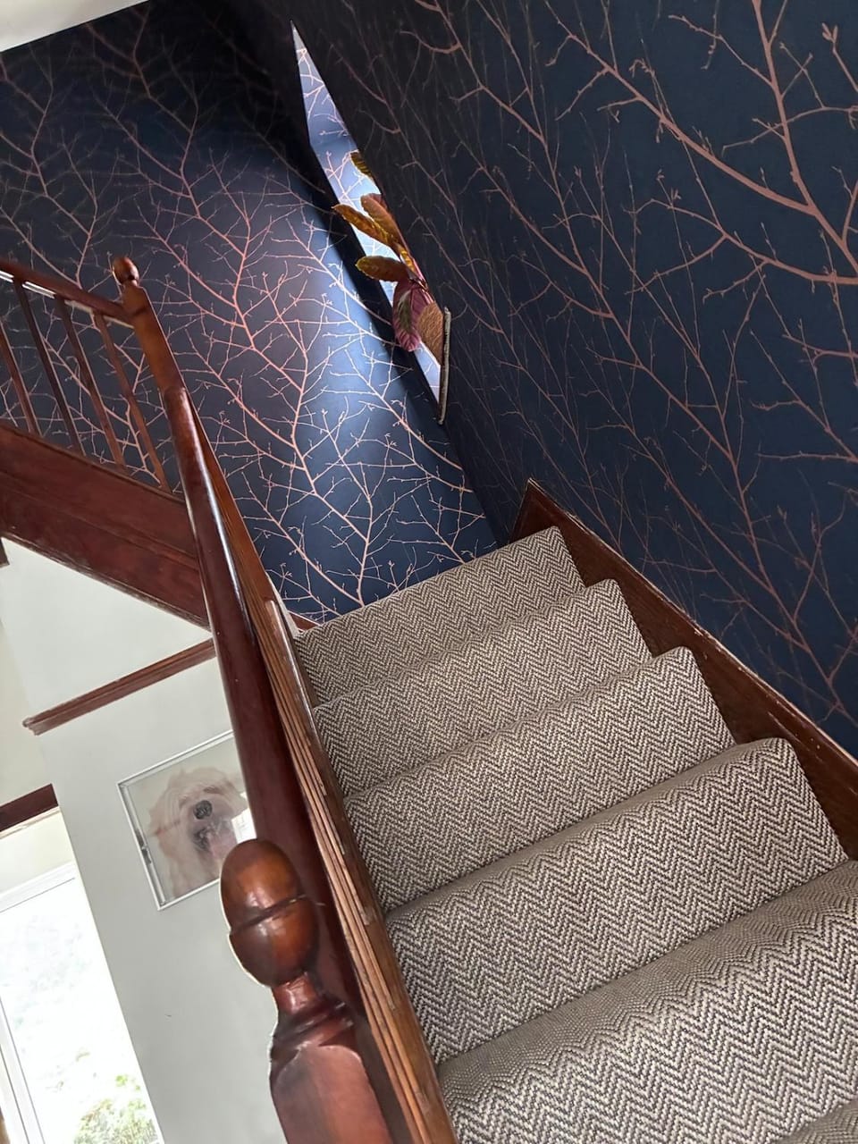 Lovely Edwardian Home Vacation rental in England