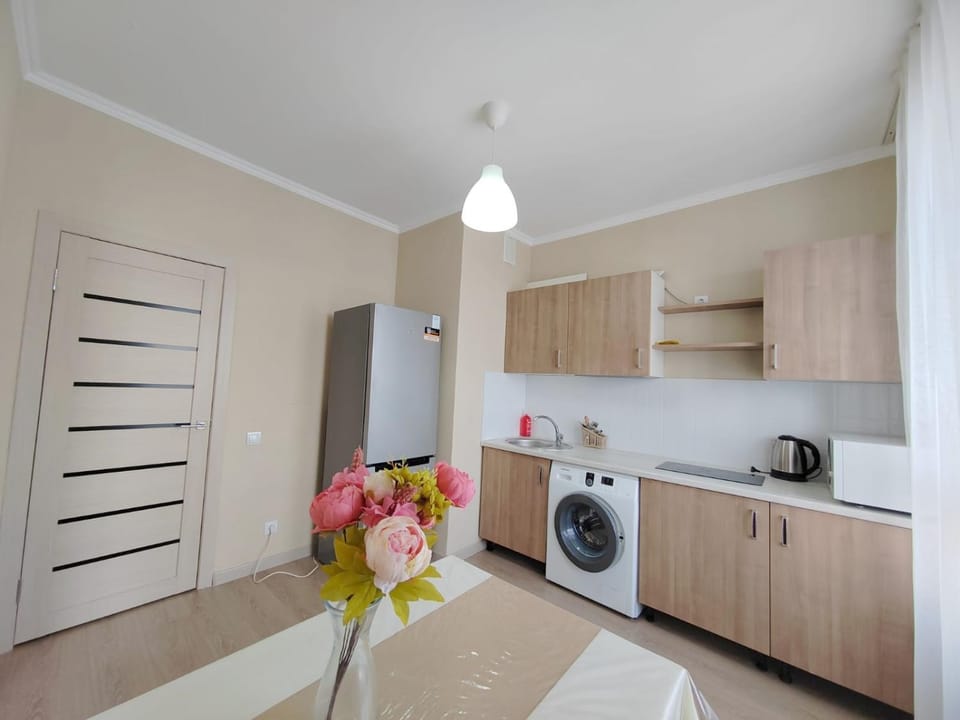 Kitchen or kitchenette, Photo of the whole room, washing machine