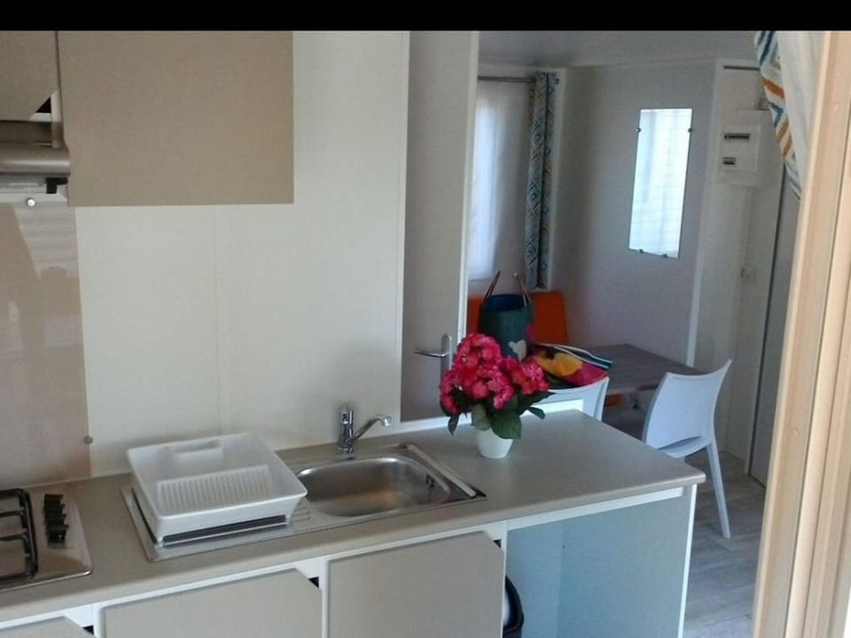 Mobil home, animaux admis - 2 pers. - API-1-52-2667 Campground/ 
RV Resort in Saint-Florent