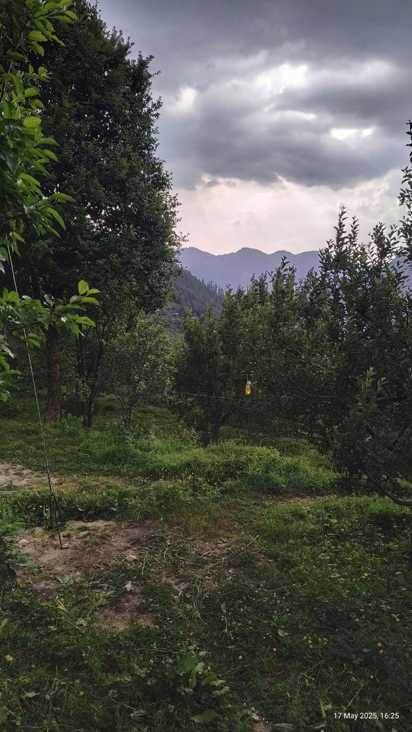 Spring, Day, Natural landscape, Garden, Mountain view
