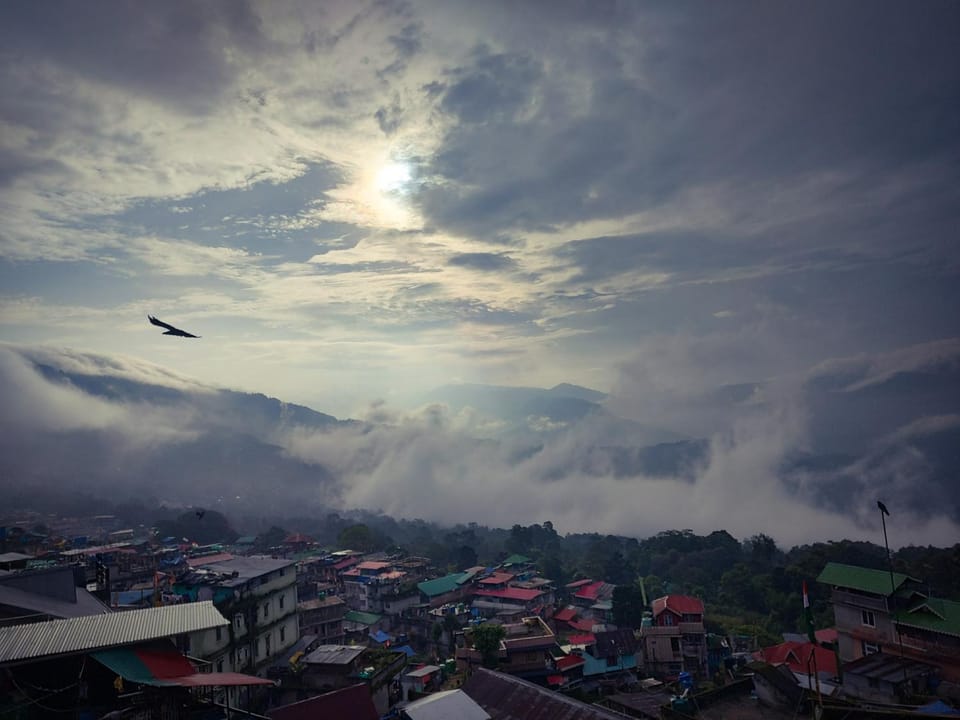 Mayuri Lodge Nature lodge in West Bengal