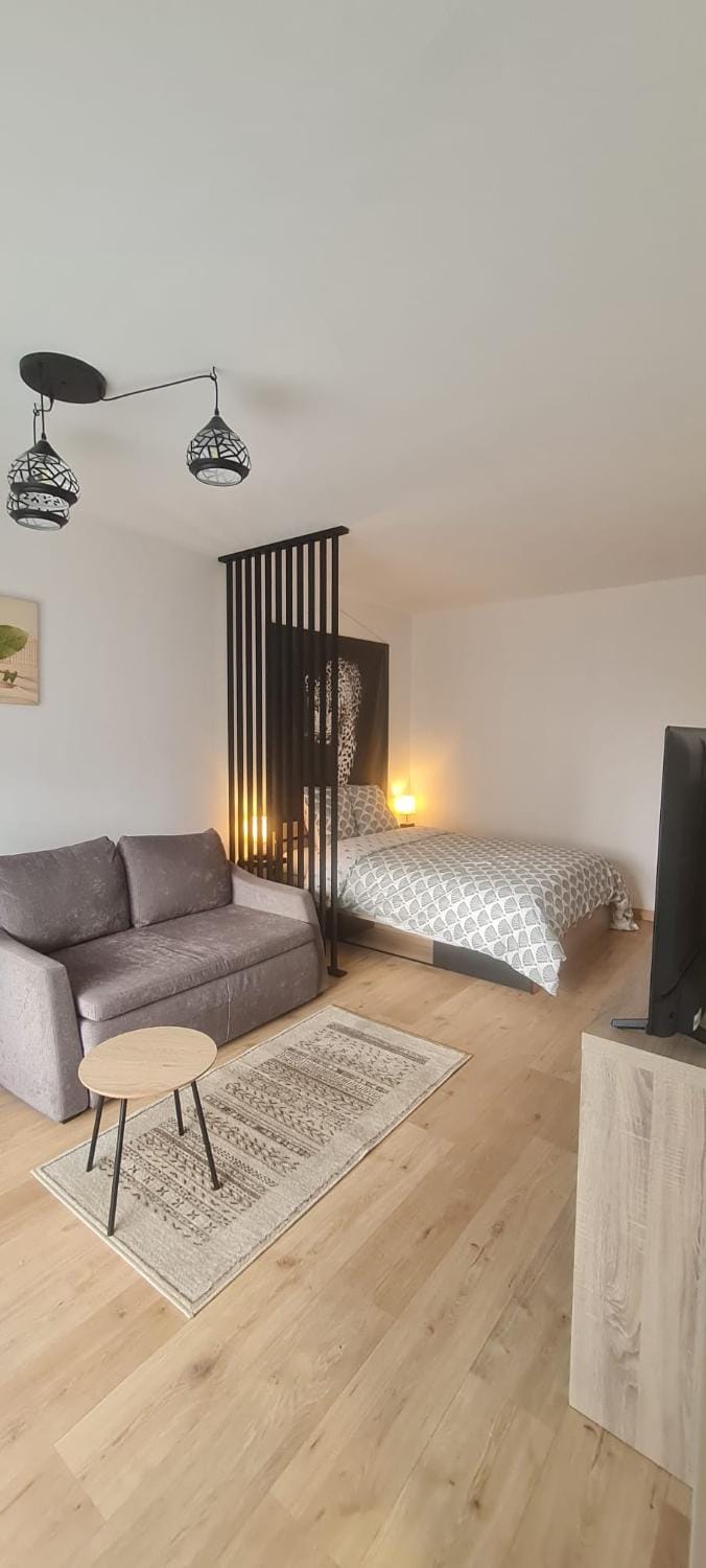 Studio proche Cathédrale Apartment in Autun