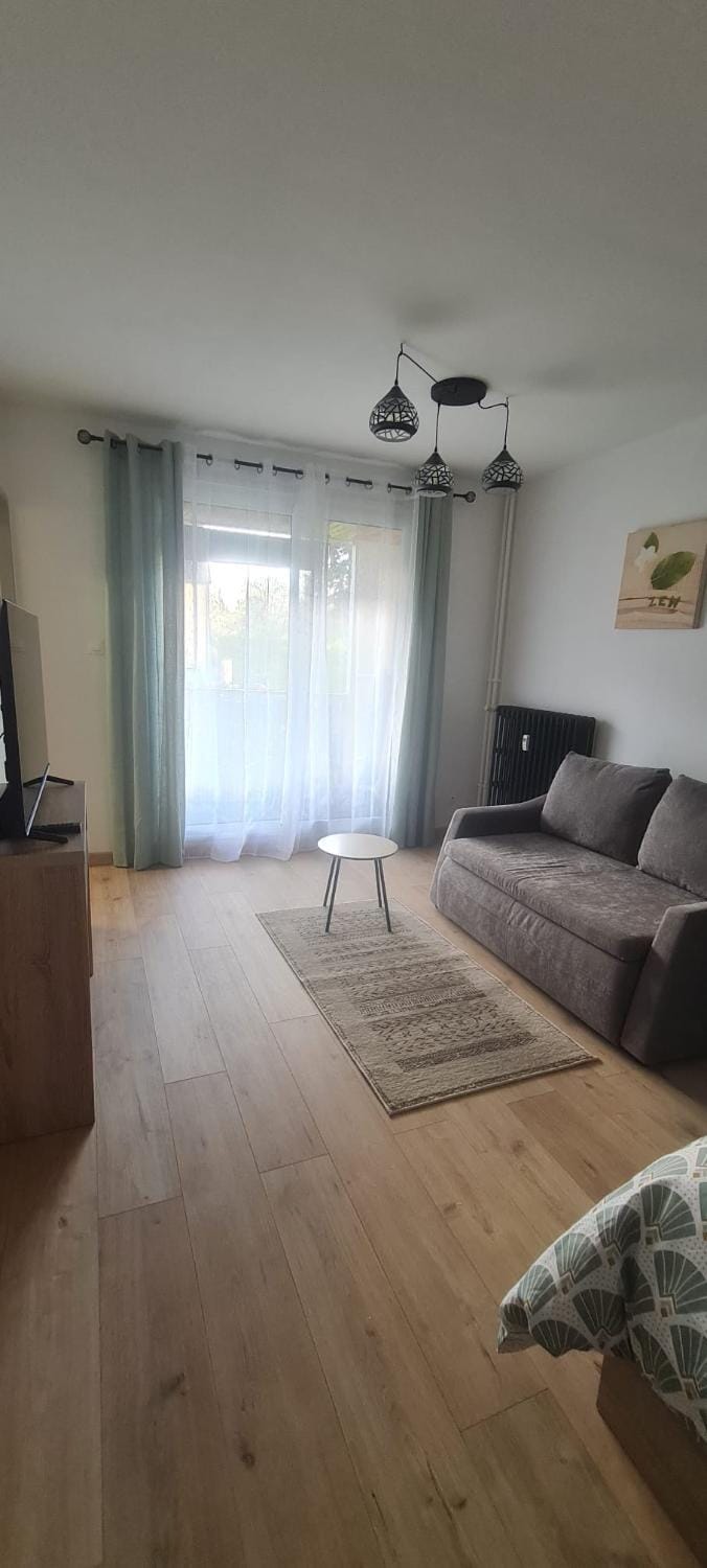 Studio proche Cathédrale Apartment in Autun