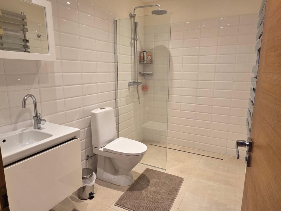 Cozy River & Pine Center Apartments Druskininkai Apartment in Lithuania