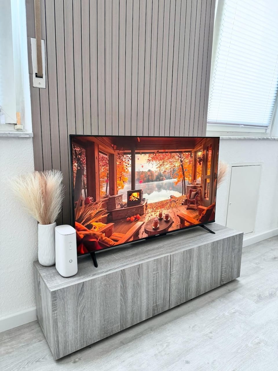 TV and multimedia